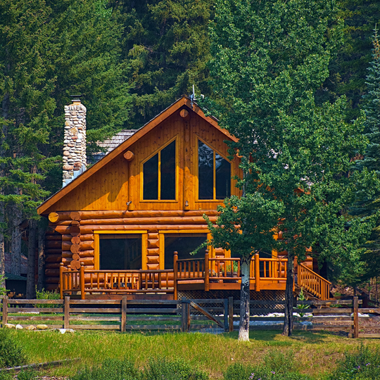 adobestock_259929382.jpg